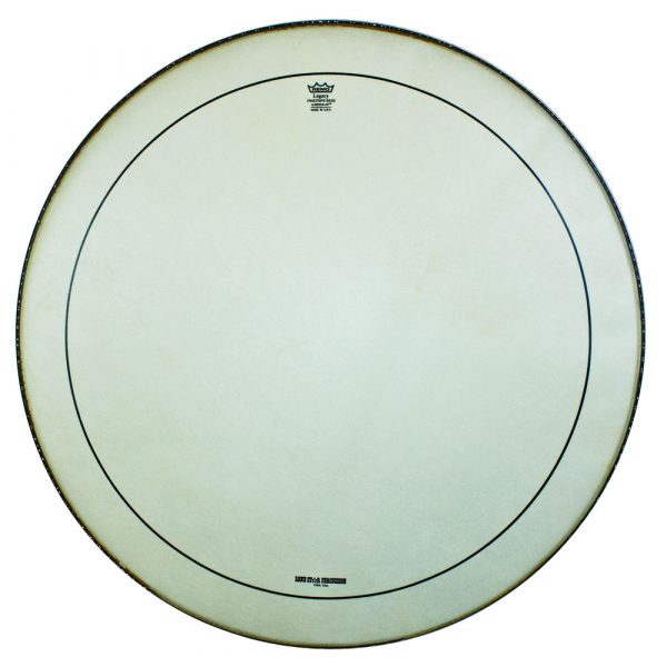 REMO Legacy Ambassador 13" Δέρμα για Drums