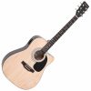 FALCON FG-100EAN Ηλεκτροακουστική Κιθάρα