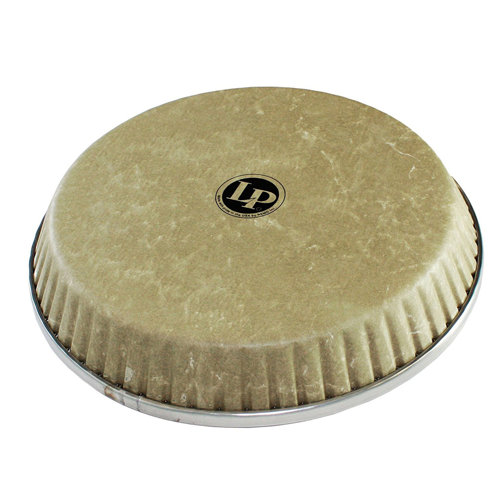 LATIN PERCUSSION LP264AP LARGE PLASTIC BONGO HEAD LATIN PERCUSSION LP264AP LARGE PLASTIC BONGO HEAD
