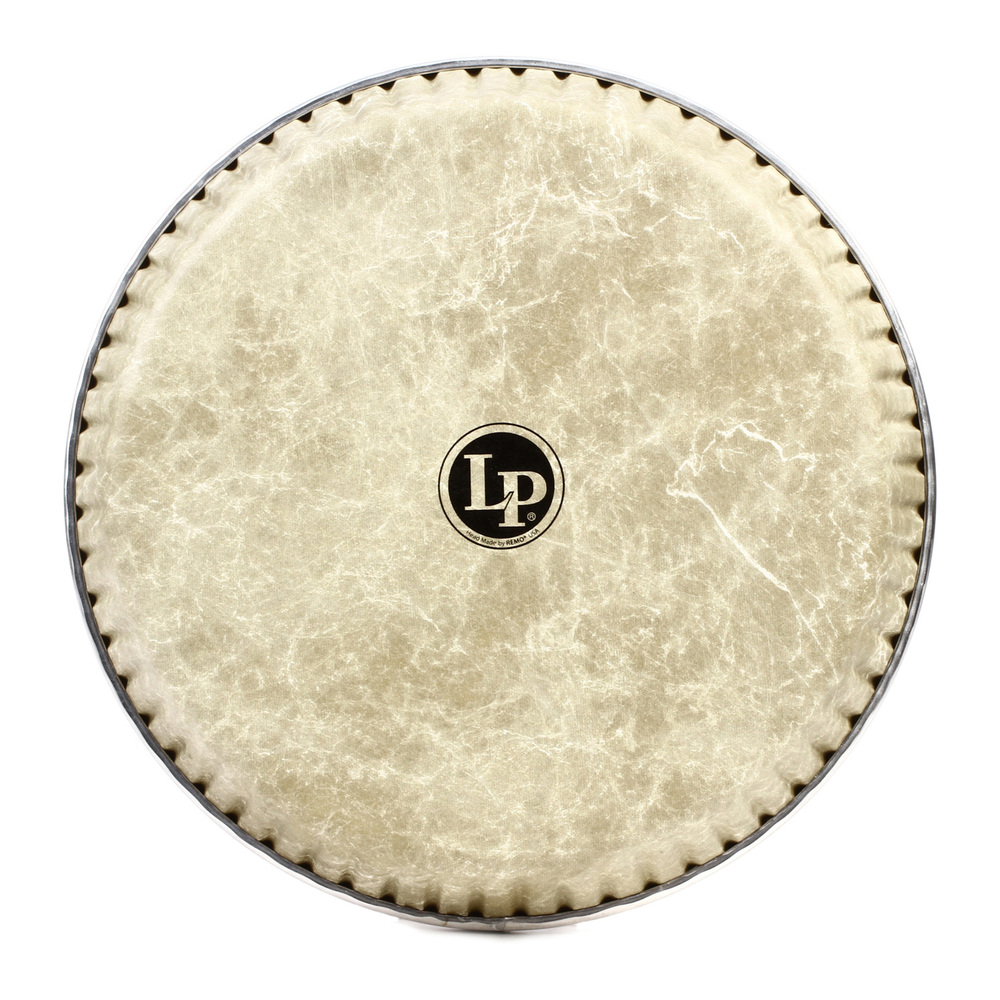LATIN PERCUSSION LP265CP 12 1/2 PLASTIC TUMBADORA HEAD LATIN PERCUSSION LP265CP 12 1/2 PLASTIC TUMBADORA HEAD