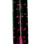 PLASMA TUBE b