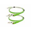 d+ RCA Class B  DUO /1.0m