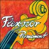Χορδές Σετ Βιολιού Pirastro Flexocor Permanent 316020