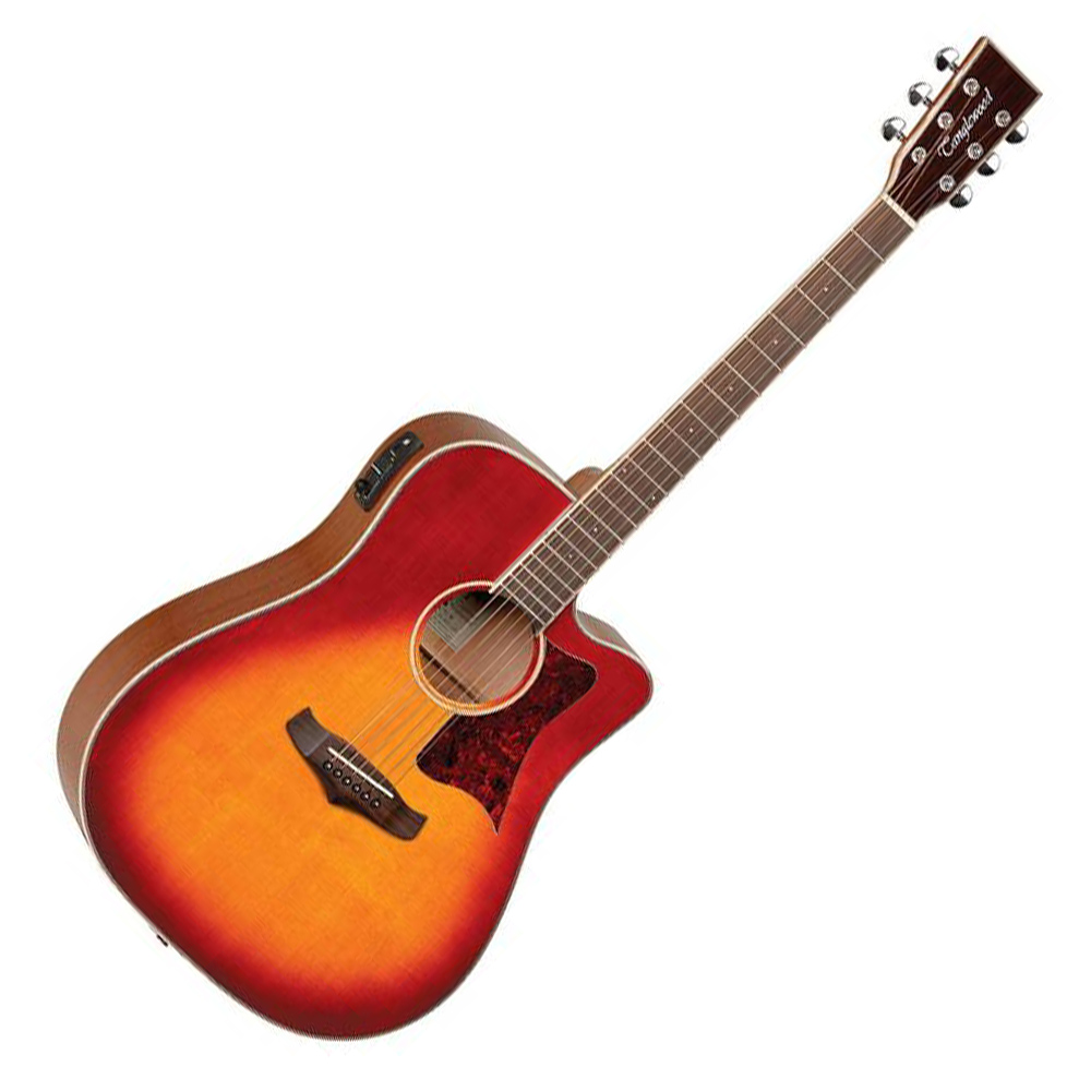 Tanglewood TW5BS Winterleaf Dreadnought Ηλεκτροακουστική Κιθάρα Tanglewood TW5BS Winterleaf Dreadnought Ηλεκτροακουστική Κιθάρα