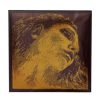 Pirastro Evah Pirazzi Gold D 415321 Χορδή Βιολιού