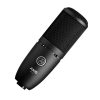 AKG PERCEPTION 120 GENERAL PURPOSE RECORDING MICROPHONE