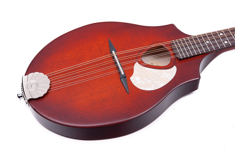 Seagull S8 Burnt Umber 041596 00