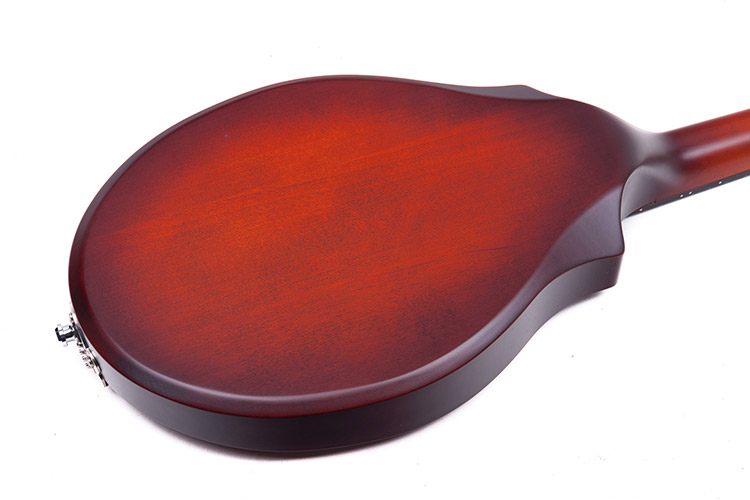 Seagull S8 Burnt Umber 041596 03