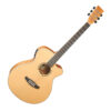 Tanglewood DBT SFCE FMH Discovery Super Folk