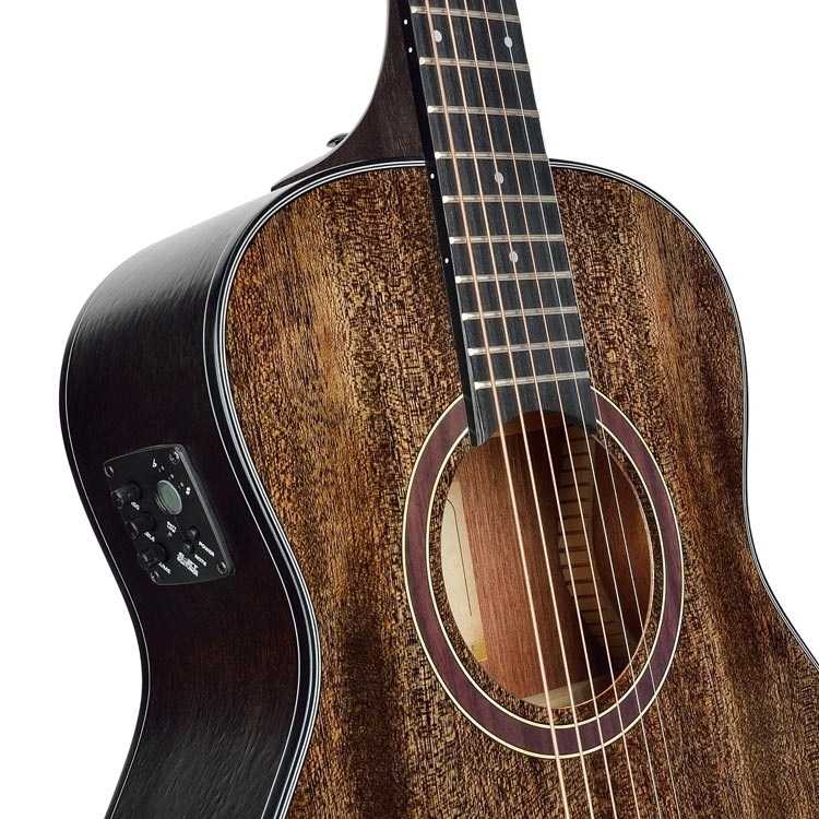 SOUNDSATION Backroad BDOP-E r711r alt002