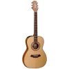 Takamine EF-317S