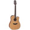 Takamine GD20CE Satin Natural