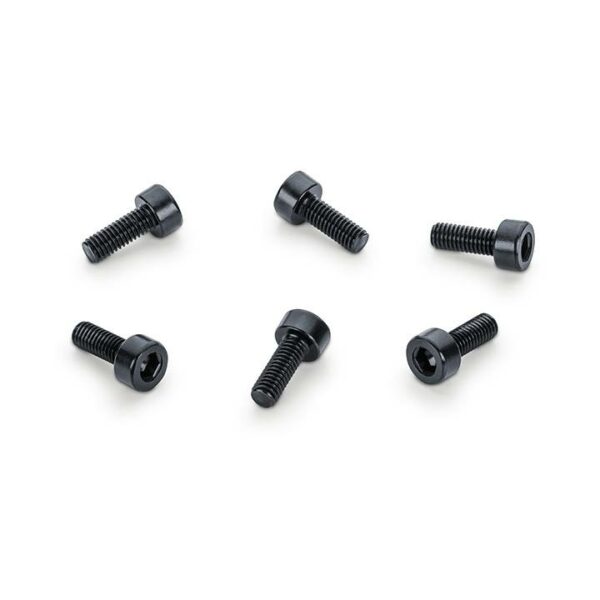 Schaller 387000 FL.Rose Saddle Mount Set of 6