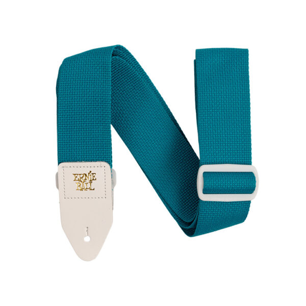 Ernie Ball 5349 Polypro Nylon Teal