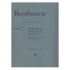 Beethoven - Violin Concerto in D Major Op.61