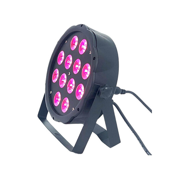 PLS ST-1212FP LED MINI PAR BLACK 12x12W-RGBW F/C