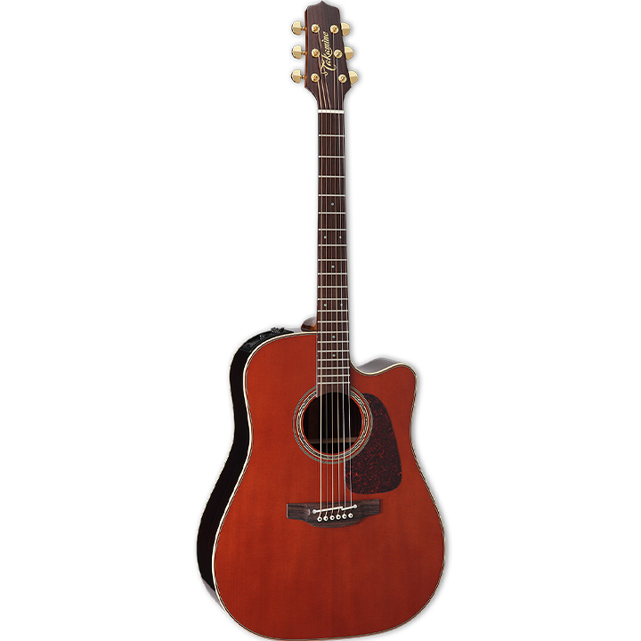 Takamine P5DC Dreadnought Whiskey Brown & Hard Case Takamine P5DC Dreadnought Whiskey Brown & Hard Case